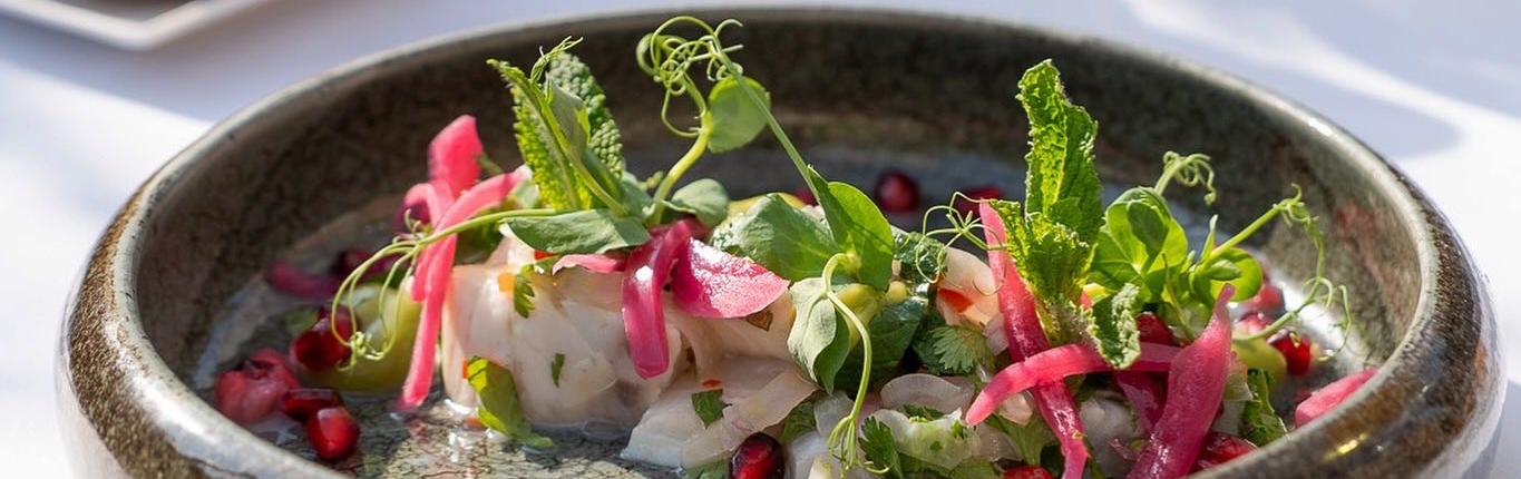 507137033_1358228286305139_1881998112641265152_n